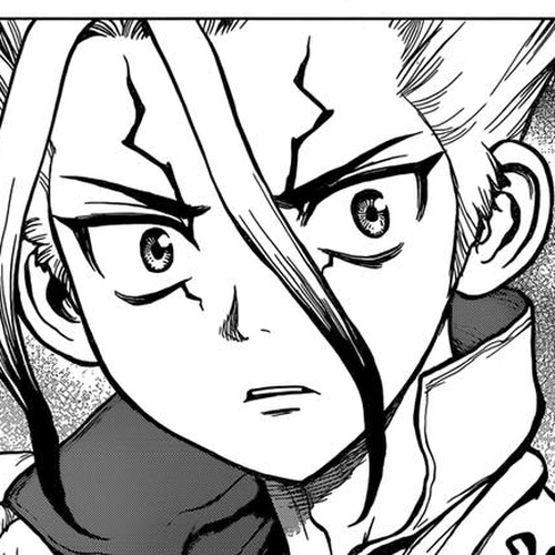 Dr. Stone Manga Chapter 105 (The Island's Greatest Beauty) cover