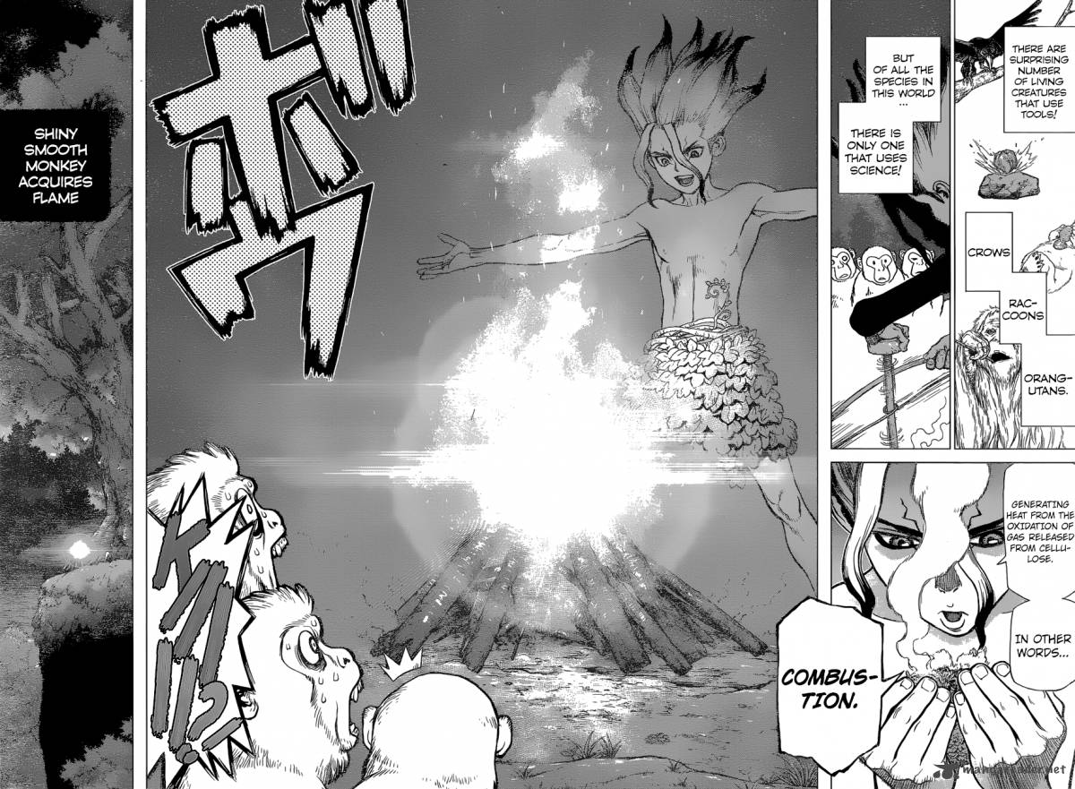 Dr. Stone Manga Chapter 13 page 15 - Part 1: Stone World: The Beginning