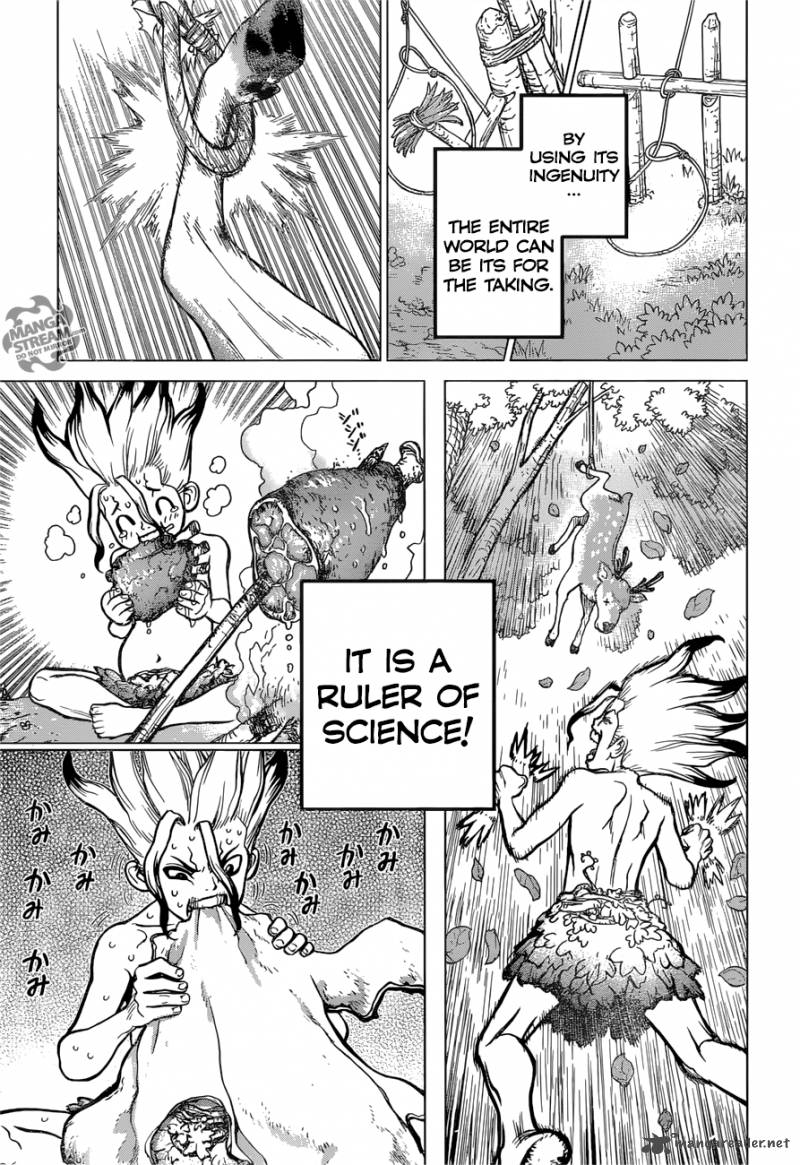 Dr. Stone Manga Chapter 13 page 17 - Part 1: Stone World: The Beginning