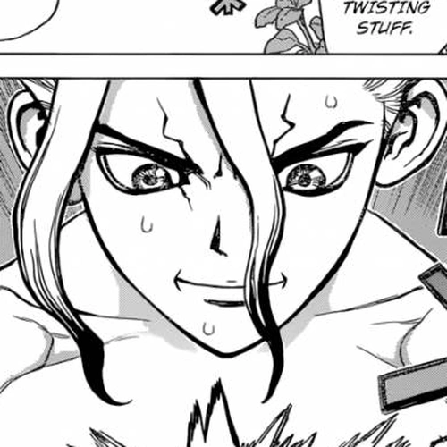 Dr. Stone Manga Chapter 13 (Part 1: Stone World: The Beginning) cover