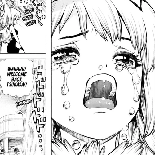 Dr. Stone Manga Chapter 141 (First Team) cover