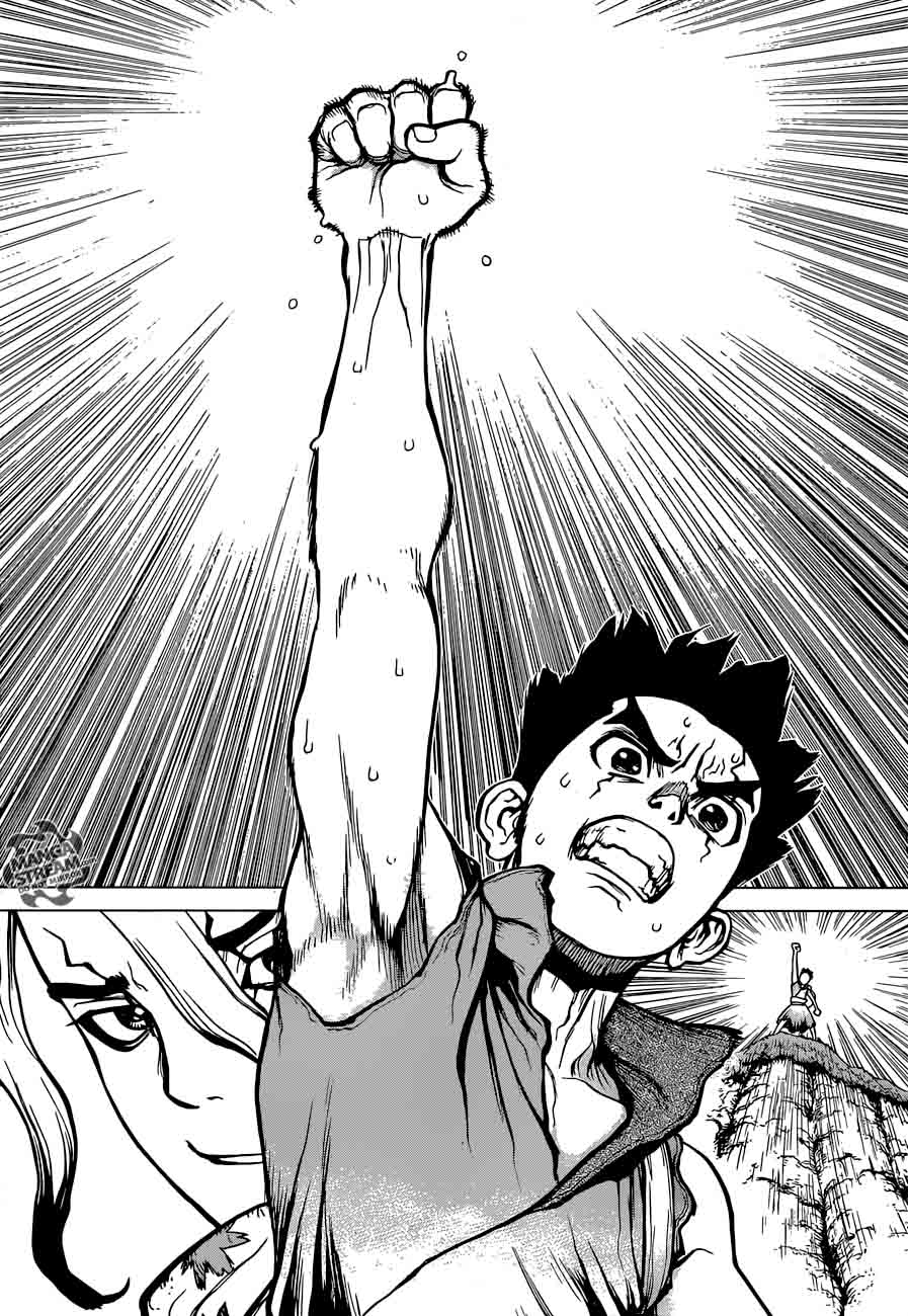 Dr. Stone Manga Chapter 15 page 17 - Two Kingdoms of the Stone World