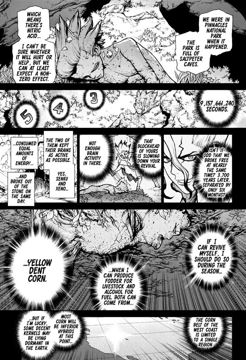 Dr. Stone Manga Chapter 157 page 14 - Same Time, Same Place