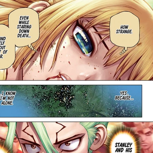 Dr. Stone Manga Chapter 189 (Our Dr. Stone) cover