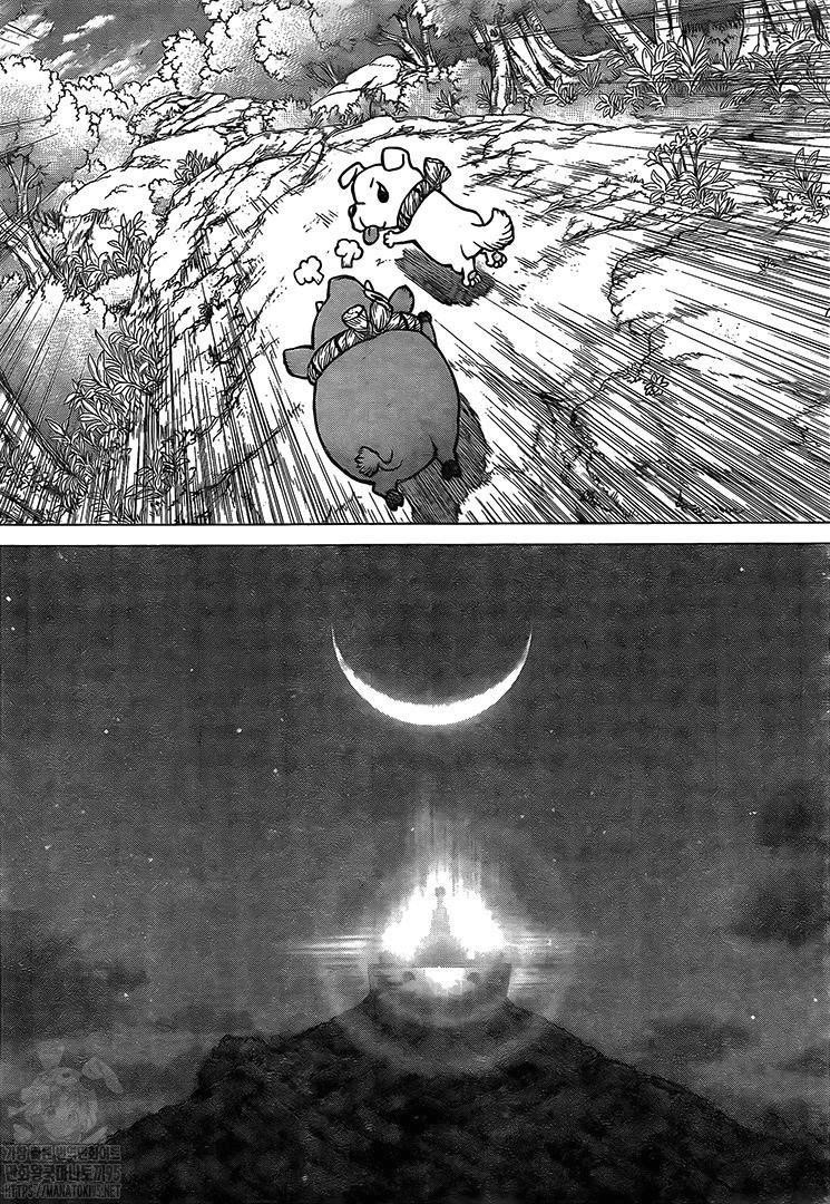 Dr. Stone Manga Chapter 193 page 14 - Our Stone World