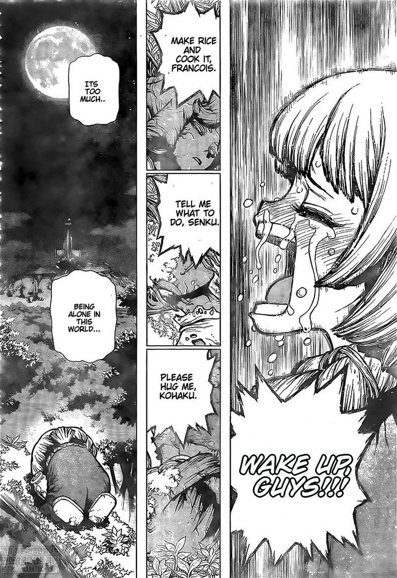 Dr. Stone Manga Chapter 194 page 13 - Homo Sapiens, All Alone