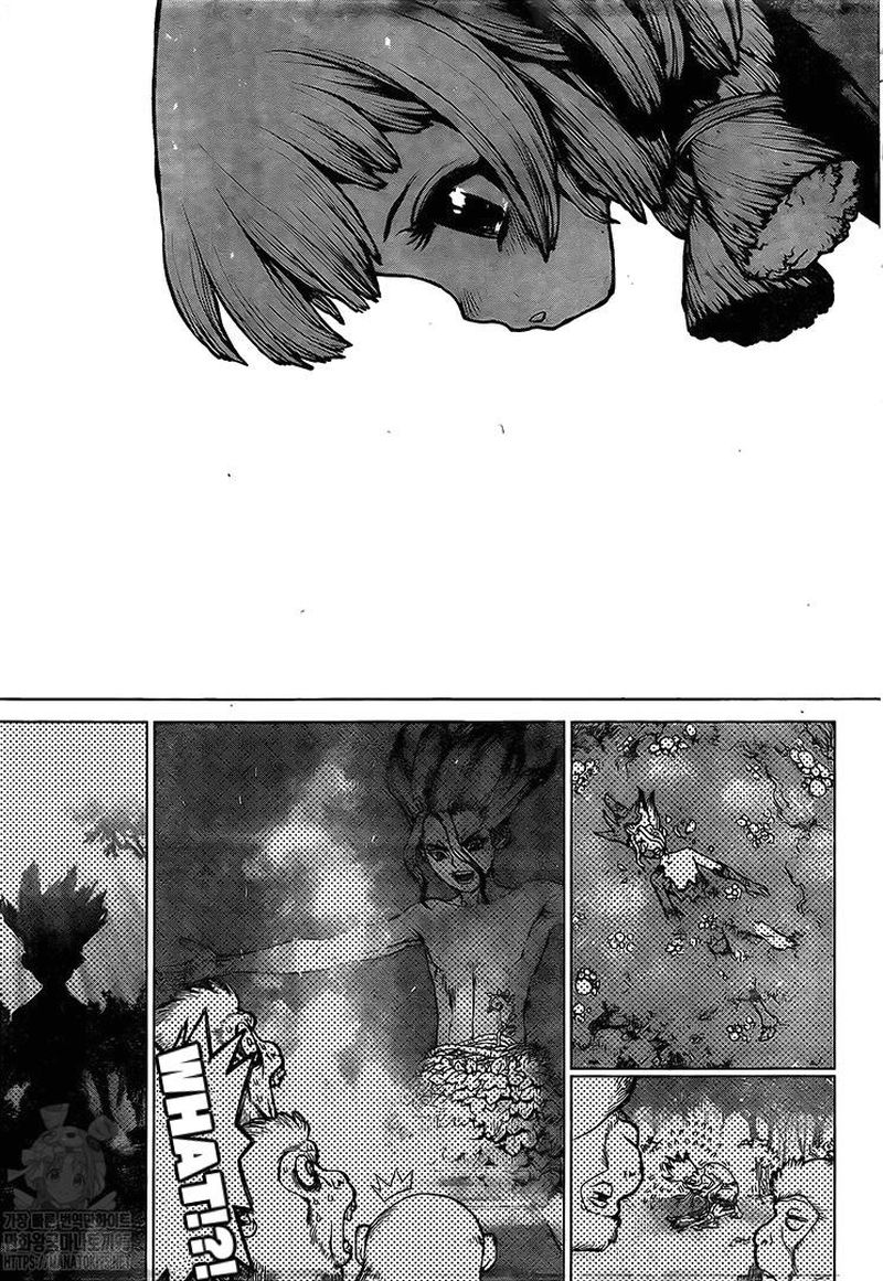 Dr. Stone Manga Chapter 194 page 14 - Homo Sapiens, All Alone