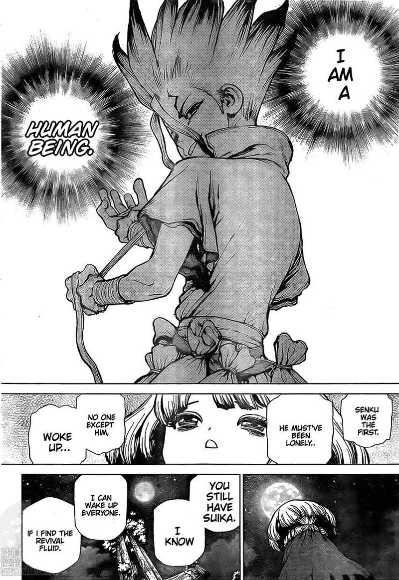 Dr. Stone Manga Chapter 194 page 15 - Homo Sapiens, All Alone
