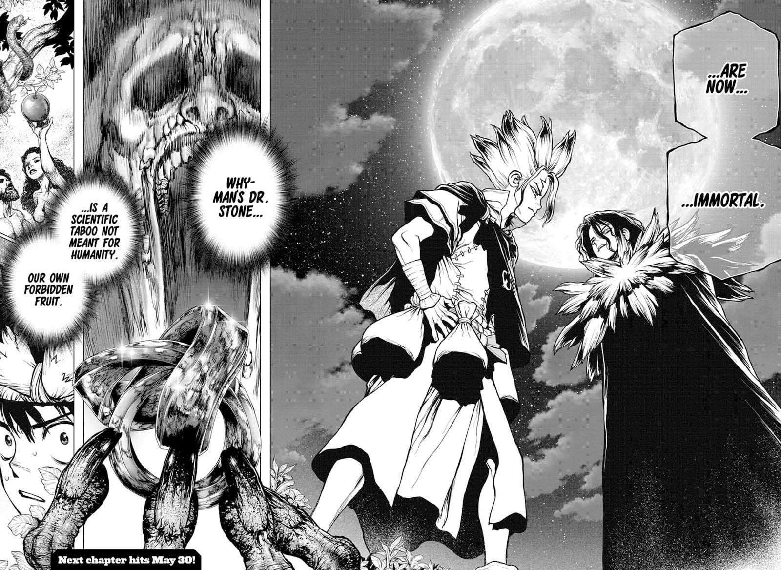 Dr. Stone Manga Chapter 197 page 17 - A Stony Eden and Its Forbidden Fruit