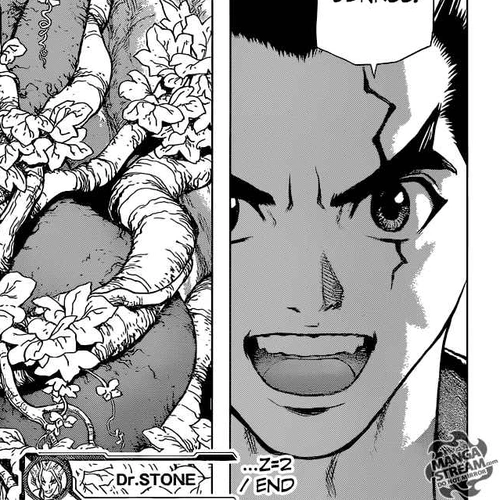 Dr. Stone Manga Chapter 2 (Fantasy vs Science) cover