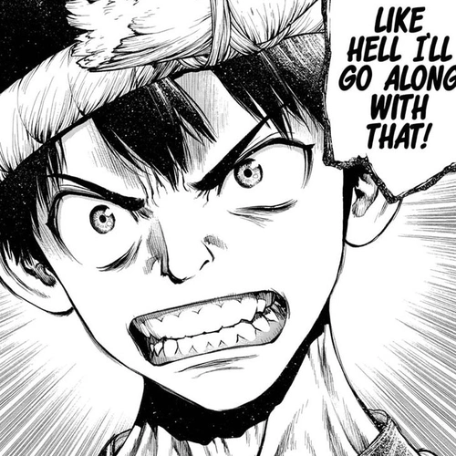 Dr. Stone Manga Chapter 210 (Not One-Way) cover