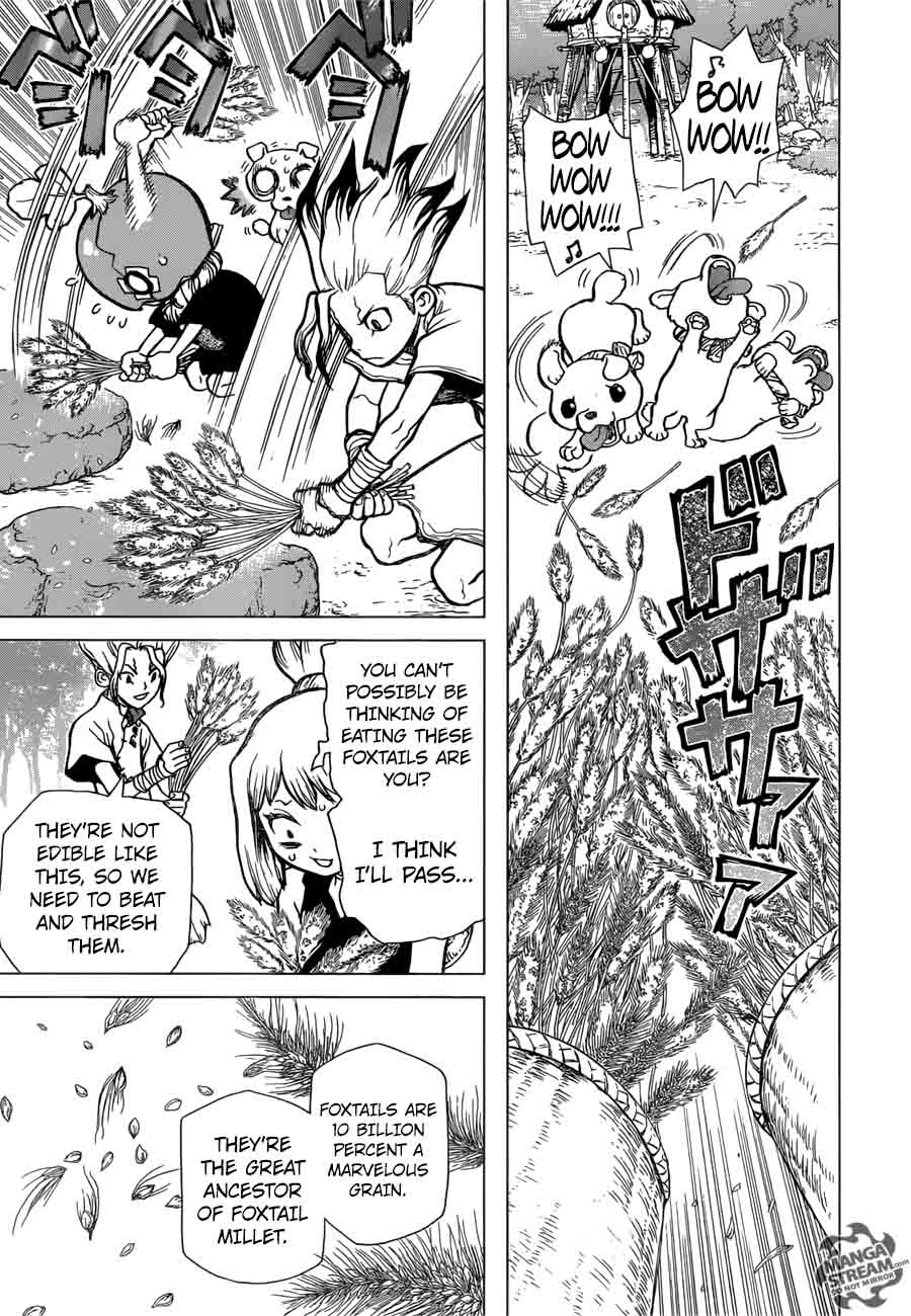 Dr. Stone Manga Chapter 22 page 11 - Survival Gourmet