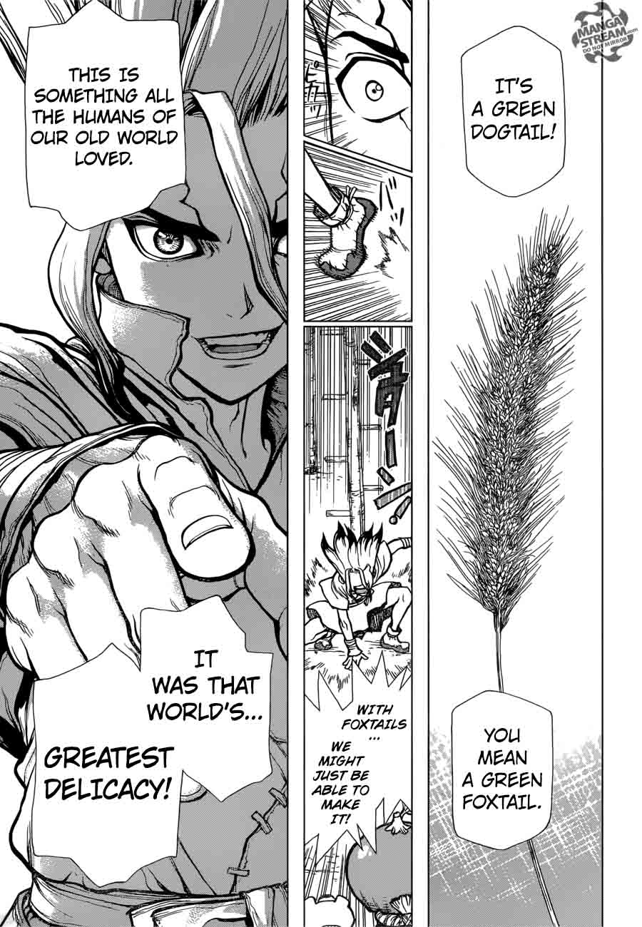 Dr. Stone Manga Chapter 22 page 9 - Survival Gourmet