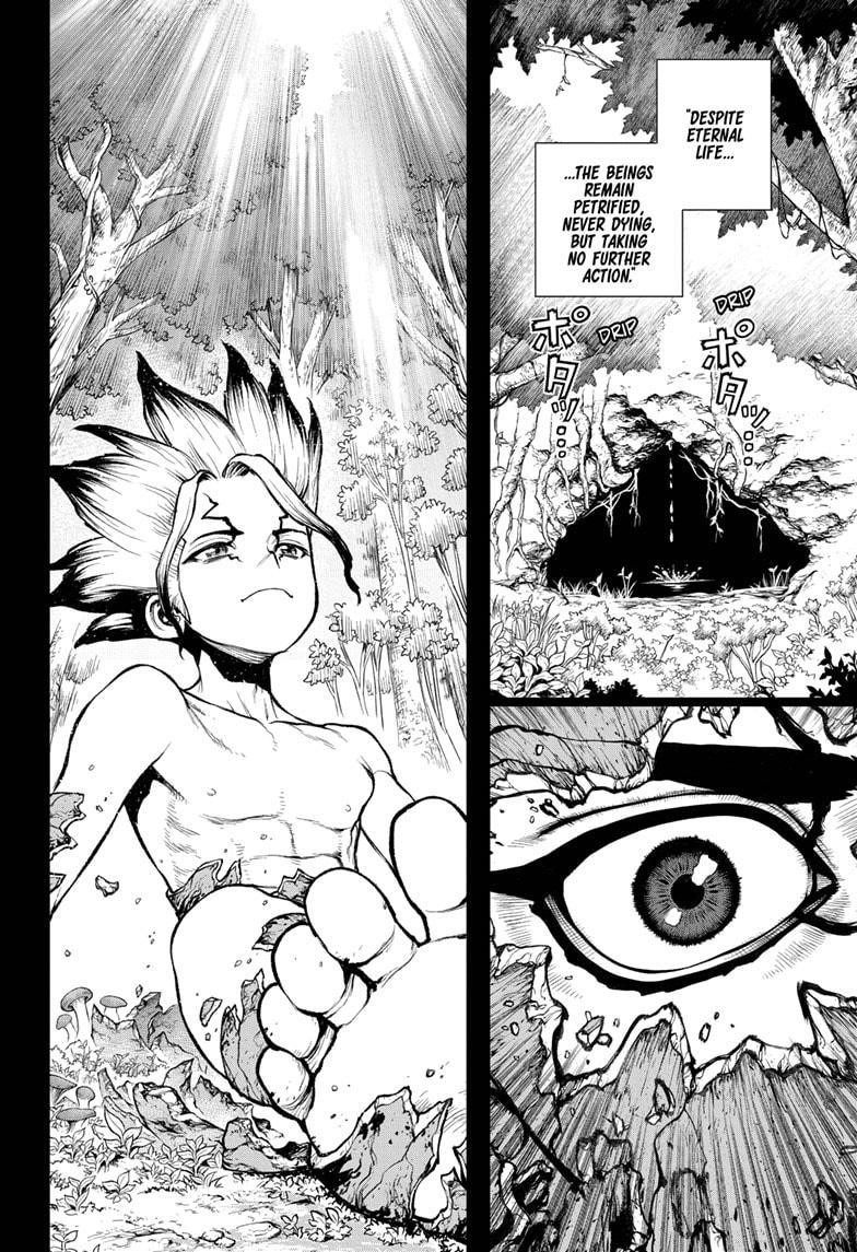 Dr. Stone Manga Chapter 229 page 13 - Why-Man