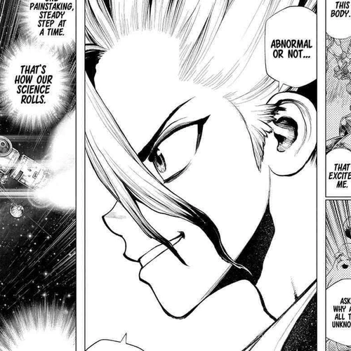 Dr. Stone Manga Chapter 231 (A Future To Get Excited About) cover