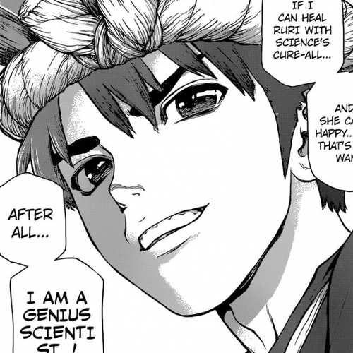 Dr. Stone Manga Chapter 27 (A Certain Scientist's Wish) cover