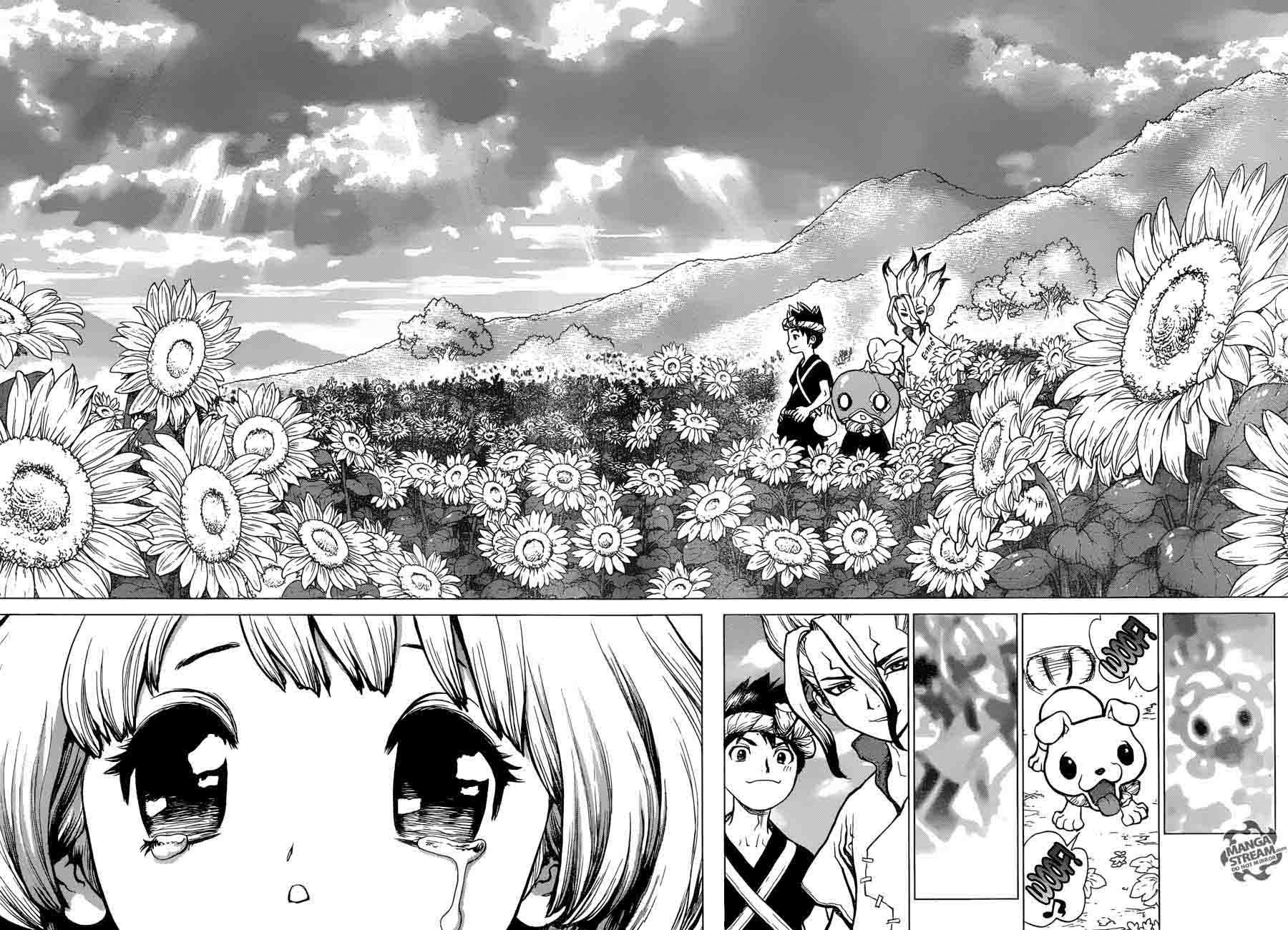 Dr. Stone Manga Chapter 28 page 14 - Clear World