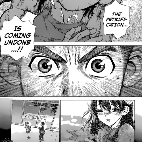 Dr. Stone Manga Chapter 5 (Yuzuriha) cover