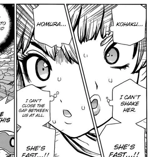 Dr. Stone Manga Chapter 62 (Double Chase) cover