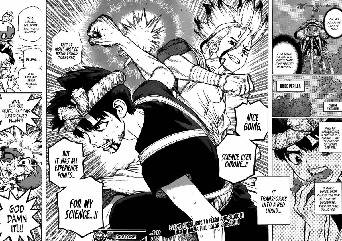 Dr. Stone Manga Chapter 72 page 16 - Experience Points