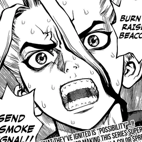 Dr. Stone Manga Chapter 8 (Raise the Smoke Signal) cover