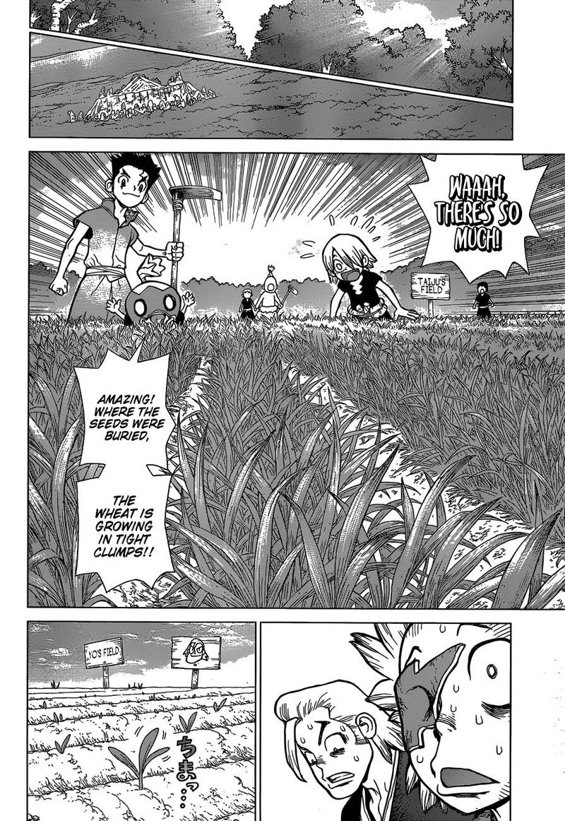 Dr. Stone Manga Chapter 91 page 11 - Need Bread? Start with Wheat