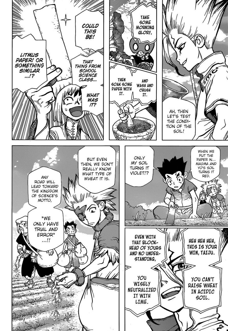 Dr. Stone Manga Chapter 91 page 13 - Need Bread? Start with Wheat