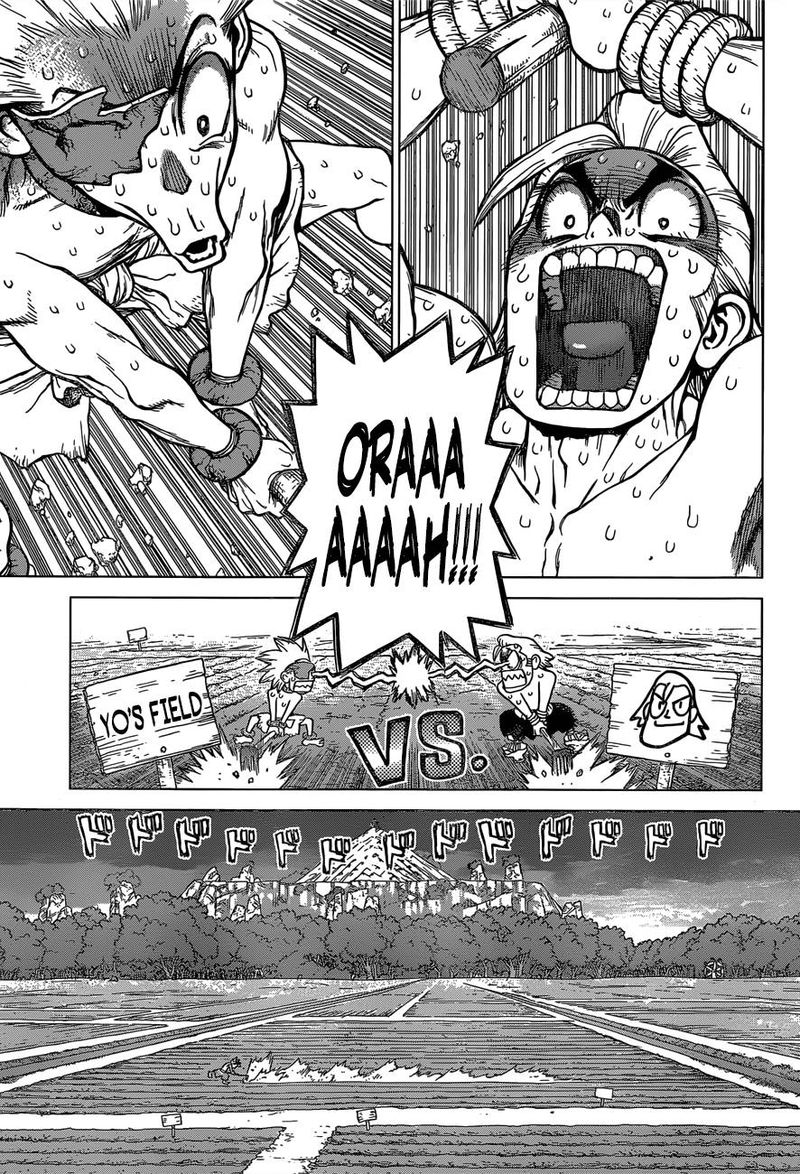 Dr. Stone Manga Chapter 91 page 8 - Need Bread? Start with Wheat